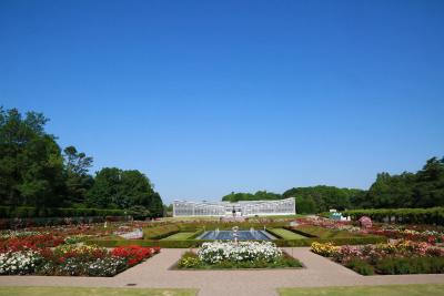 都立神代植物公園