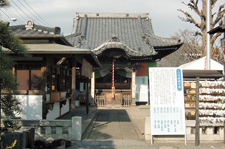 國領神社千年乃藤の写真