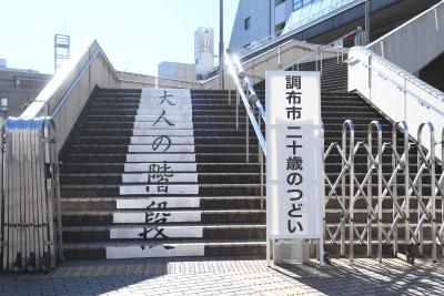 大人の階段の様子