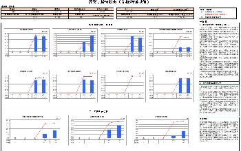 経営比較分析表の画像