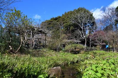 野草園の園内の様子