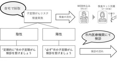 子宮頸がんリスク検査の流れを示した画像