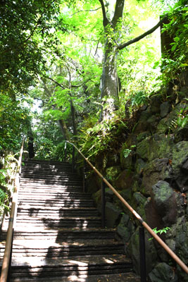 トンネルを抜けた先の画像