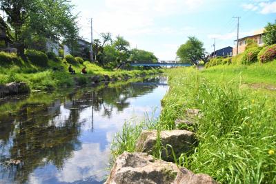 野川河川敷の画像