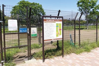 神代植物公園のドッグランの写真