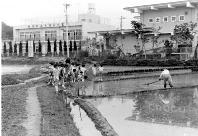 郷土博物館裏の水田の画像