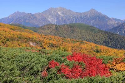 山の写真