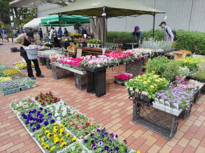 花の販売の様子