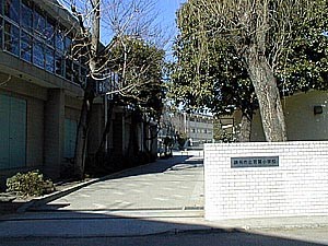 調布市立若葉小学校の写真