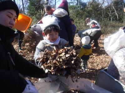落ち葉を集める様子