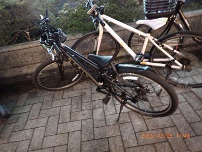 放置自転車例の写真