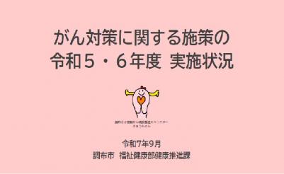 実施状況表紙の画像