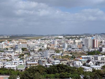 フィールドワークの写真