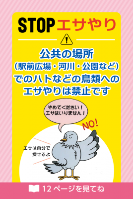ハトにエサやり禁止のチラシの画像