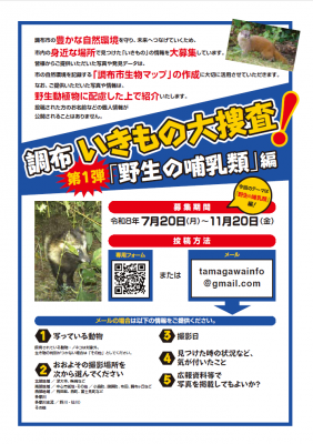 生き物大捜査のチラシ画像