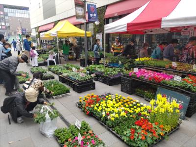 花苗を販売している様子