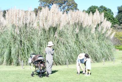 家族で小さなお子さんの写真を撮っている様子