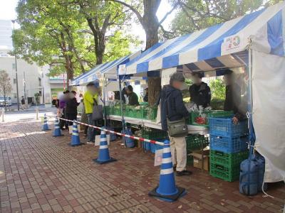 野菜袋詰めの写真