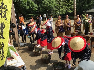 早乙女たちのお田植えの儀の写真