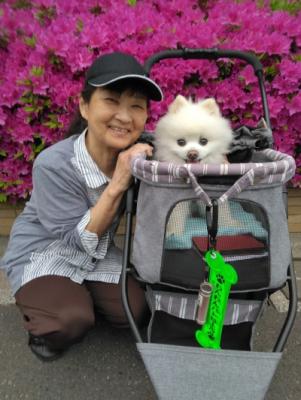 散歩中に飼い主と一緒に撮影した写真