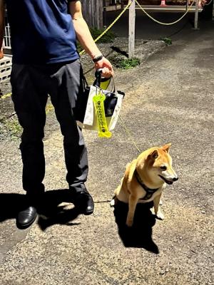 わんわんパトロール隊員(hana)の写真
