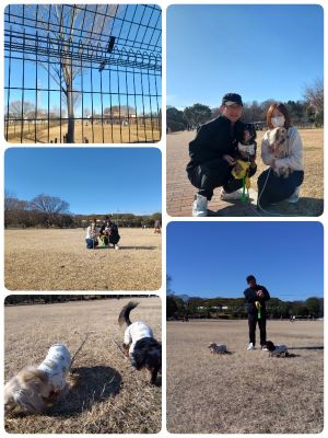 わんわんパトロール隊員(琥珀と瑠璃)の写真