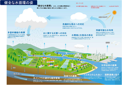 健全な水循環のイメージ図