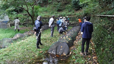 ワサビ田の写真