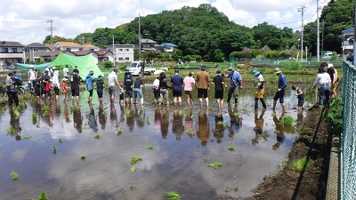 田植え風景　南側から撮影した写真