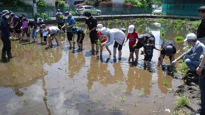 田植え風景　西側から撮影した写真