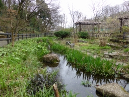 野草園園内の写真