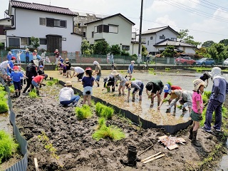 田植えの写真