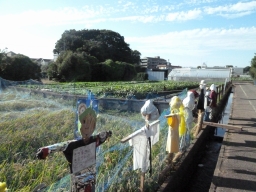 水路と水田の写真