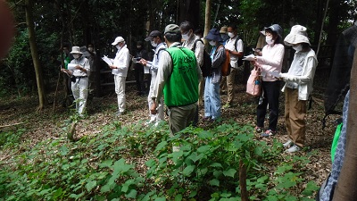 入間樹林地内の写真