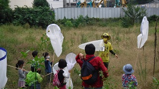 昆虫の捕まえ方の説明写真