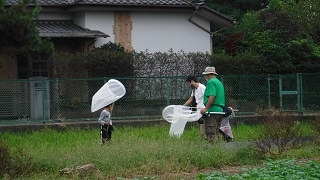 昆虫を捕まえる様子の写真