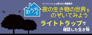 ライトトラップで確認した生き物の画像