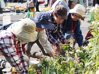 令和元年11月花いっぱいイベントの植付けの様子