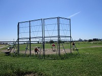 多摩川児童公園のグラウンドの画像