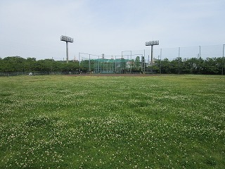 多摩川緑地公園のグラウンドの画像