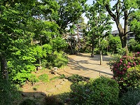 つつじヶ丘公園の遊歩道の画像