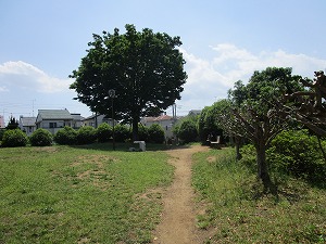 凸凹児童公園の広場の画像