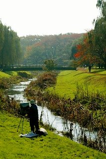 都立野川公園の川の写真