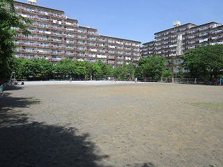 ぬの多公園の広場の画像