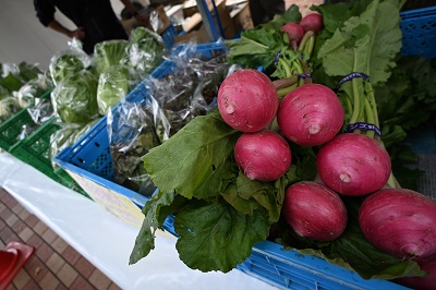 野菜の画像