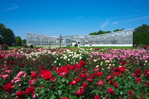 神代植物公園の写真