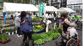 緑と花の祭典の写真