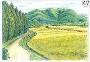 田園風景の塗り絵作品